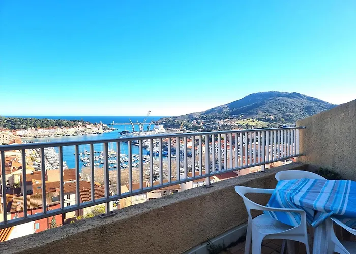 Avec Terrasse Ensoleillee A Port-vendres - Fr-1-309-256 Apartmán